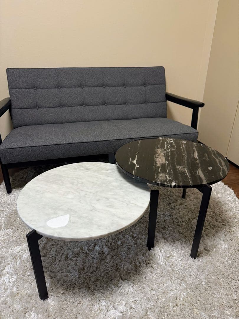 【mint①】Armonia 大理石センターテーブル FIDU