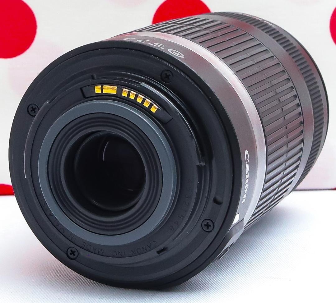 キャノン Canon EF-S 55-250mm IS❤安心の手振れ補正付き