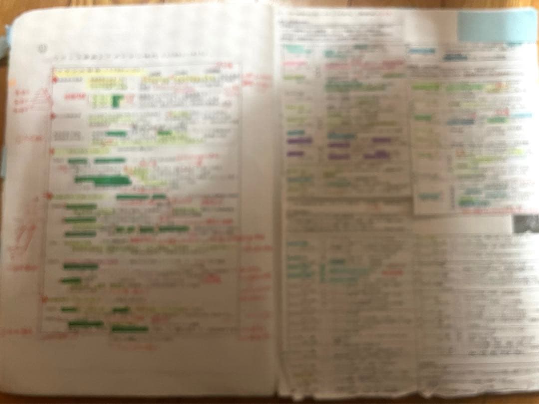 どんどこどん様専用】沼田ノート 世界史 - メルカリ