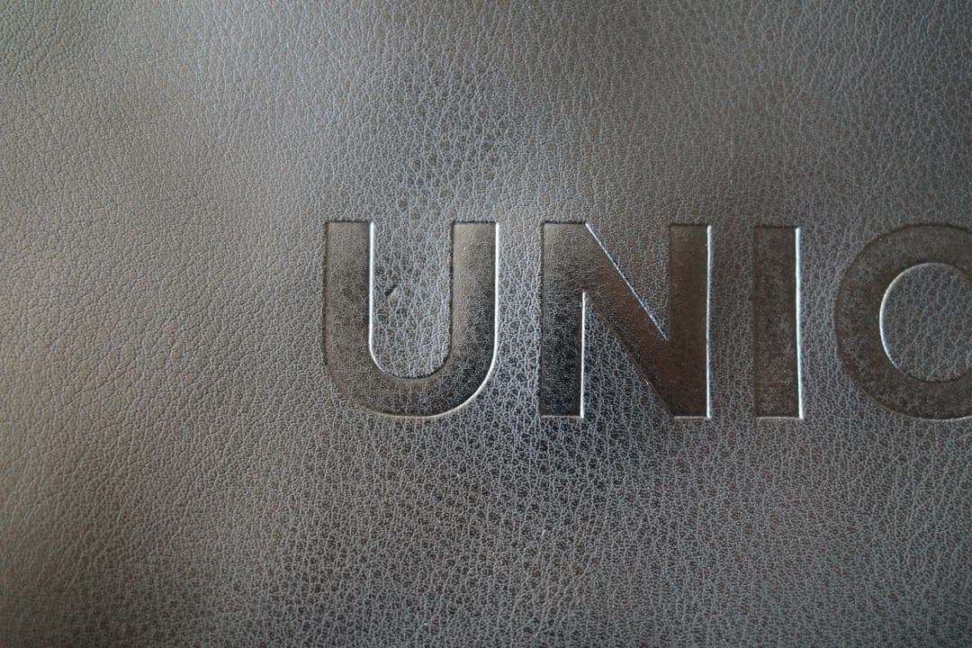 【つきたての餅】UNION Backpack M's Black Swan