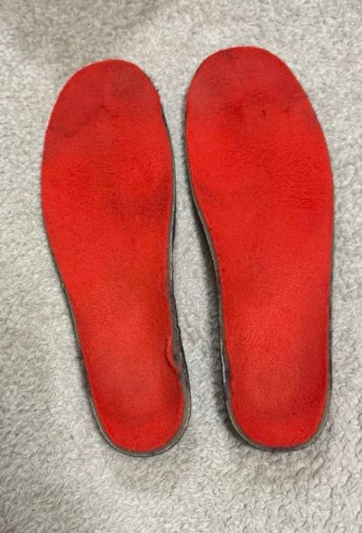 Nordica】ノルディカ　スキーブーツ　スピードマシーン25.5cm 110