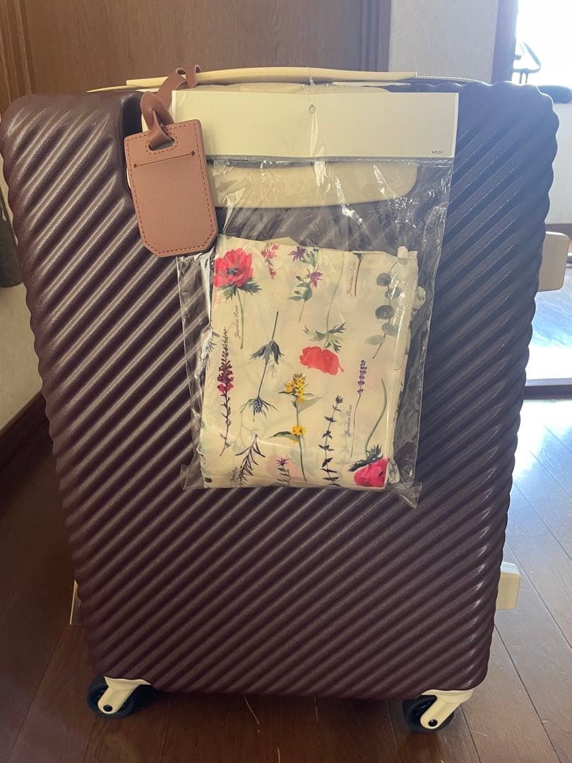 HaNTxJewelna Rose コラボ　ACEスーツケース　限定カラーチョコ