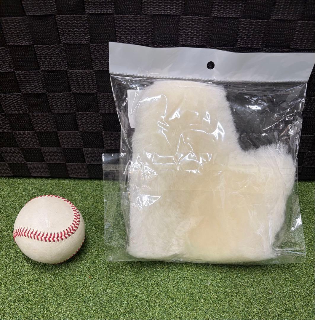 グラブ磨き5点セット