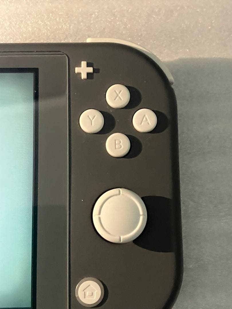 Nintendo Switch Lite 本体 グレー ＋ 周辺機器