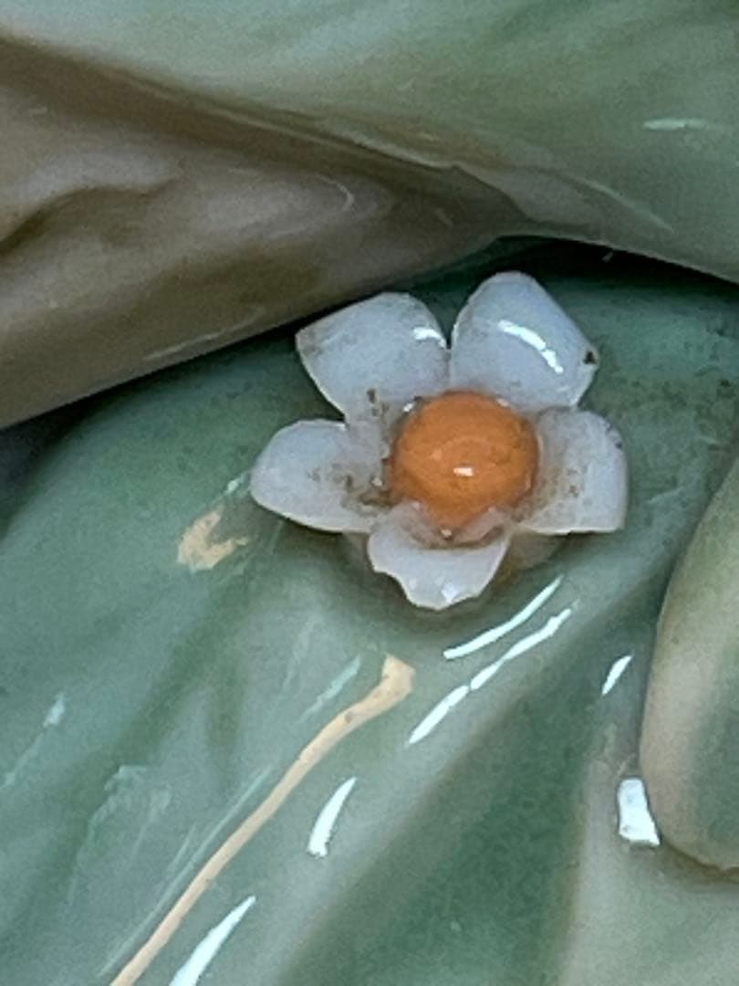 LLADRO 写真たて　ウサギ