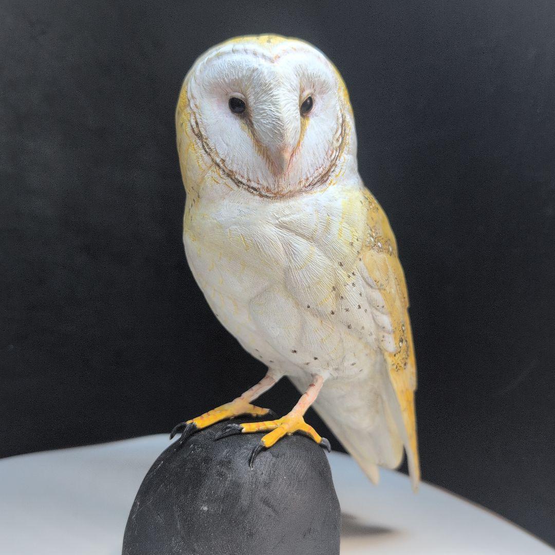 リアル 「メンフクロウ」 野鳥彫刻 バードカービング 木彫りの野鳥