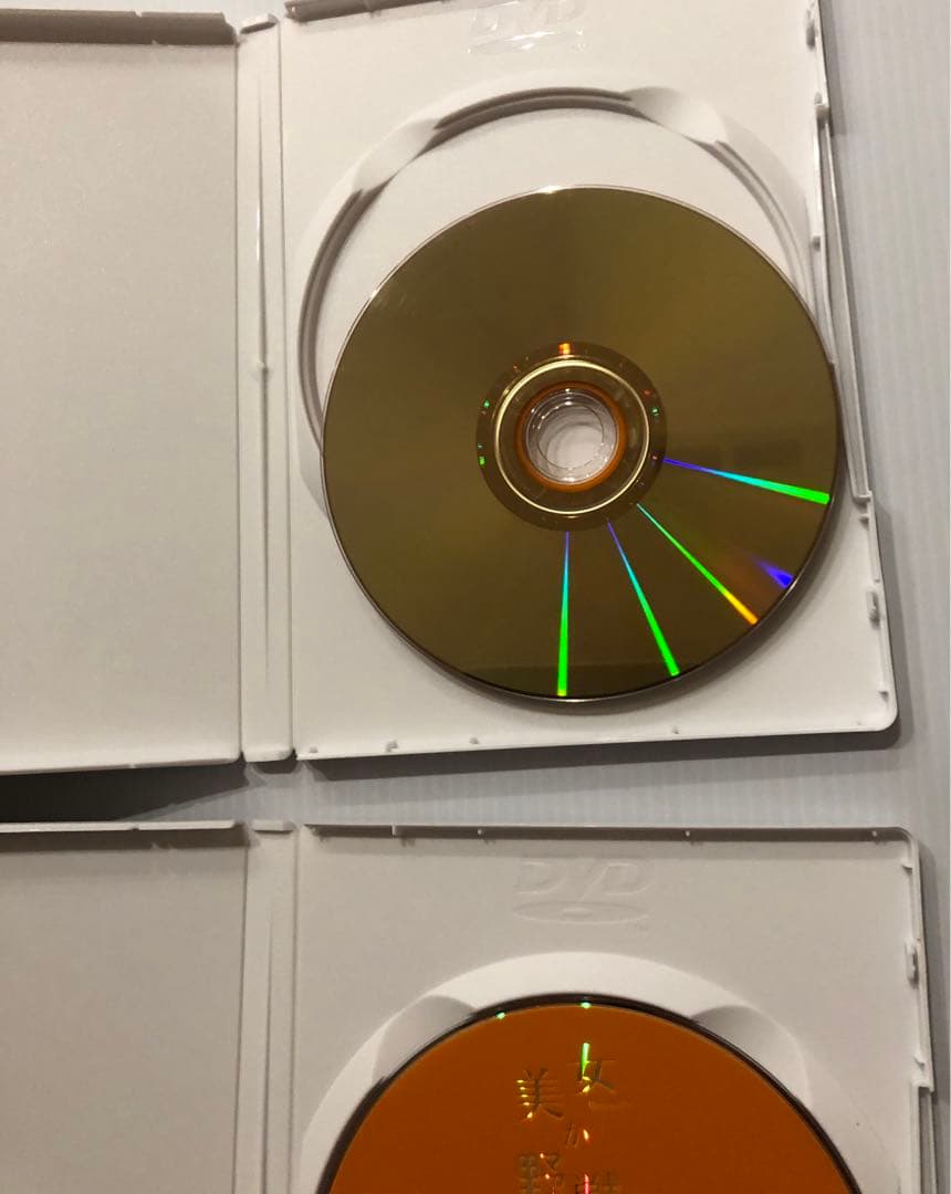 美女か野獣 DVD-BOX〈初回生産限定・4枚組〉