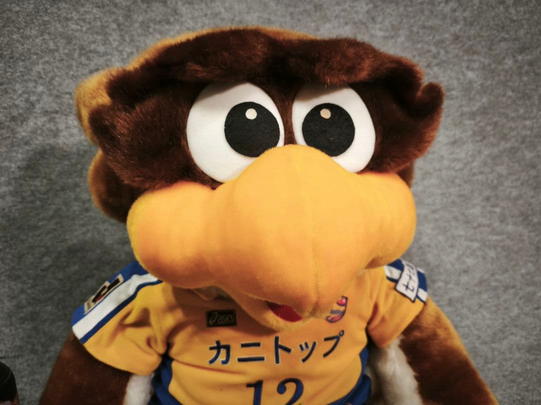 ベガルタ仙台 ベガッ太くん 特大ぬい 座高約55CM 背番号12 汚れ感あり