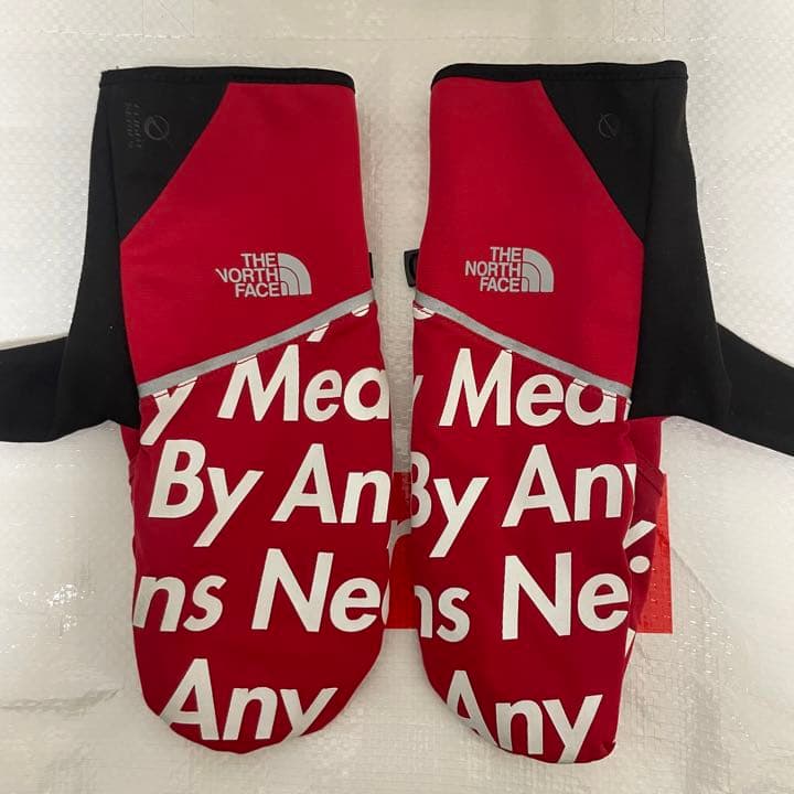 Supreme North Face Winter Runners Glove