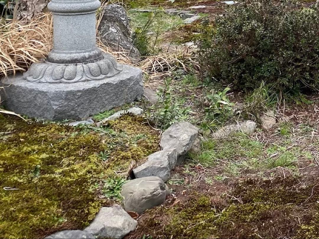 日本庭園 自然石 庭石セット 数個【石川県引き取り限定】