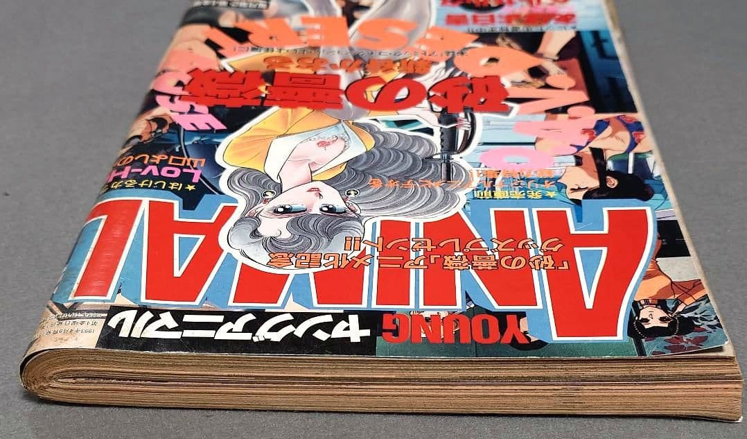 ヤングアニマル1993年7号/ベルセルク第11話掲載/三浦建太郎/希少レア