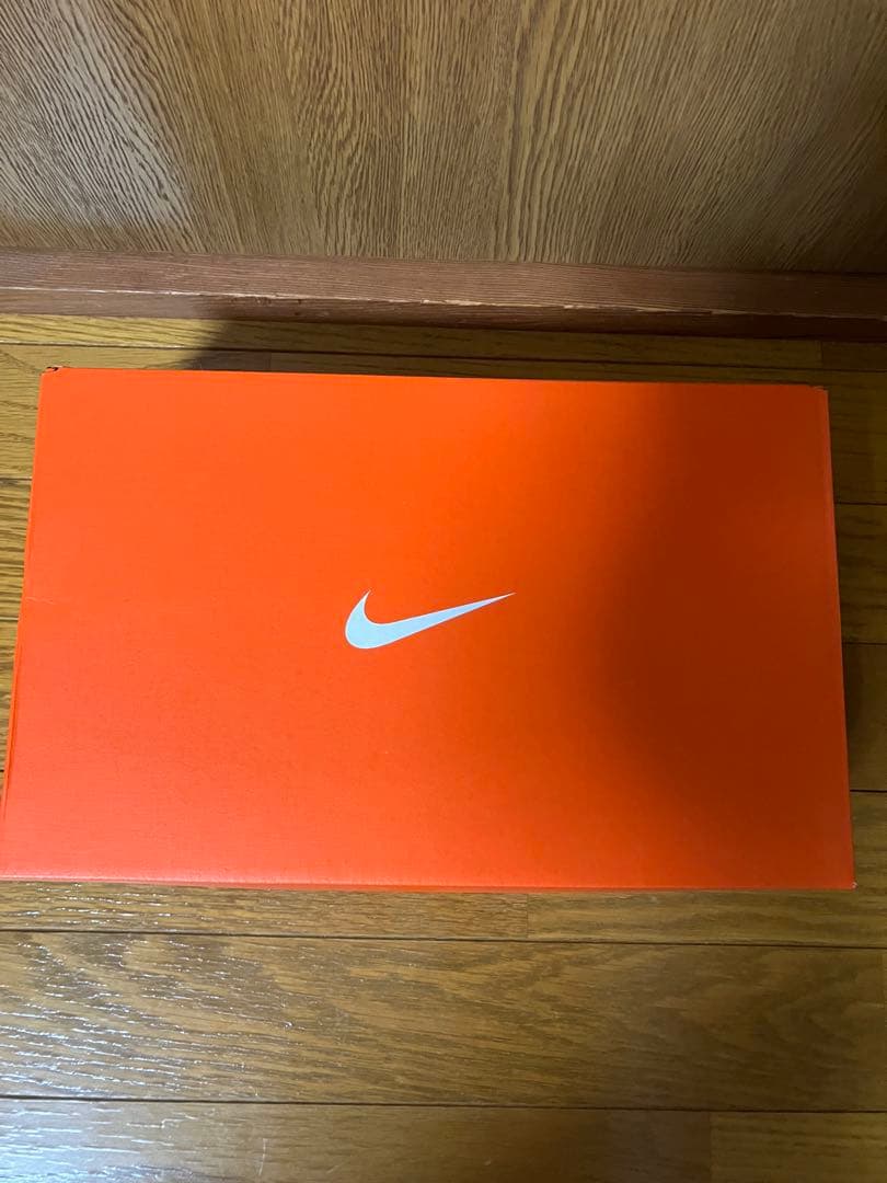 Nike Air Max 90G ホワイト/ターコイズ