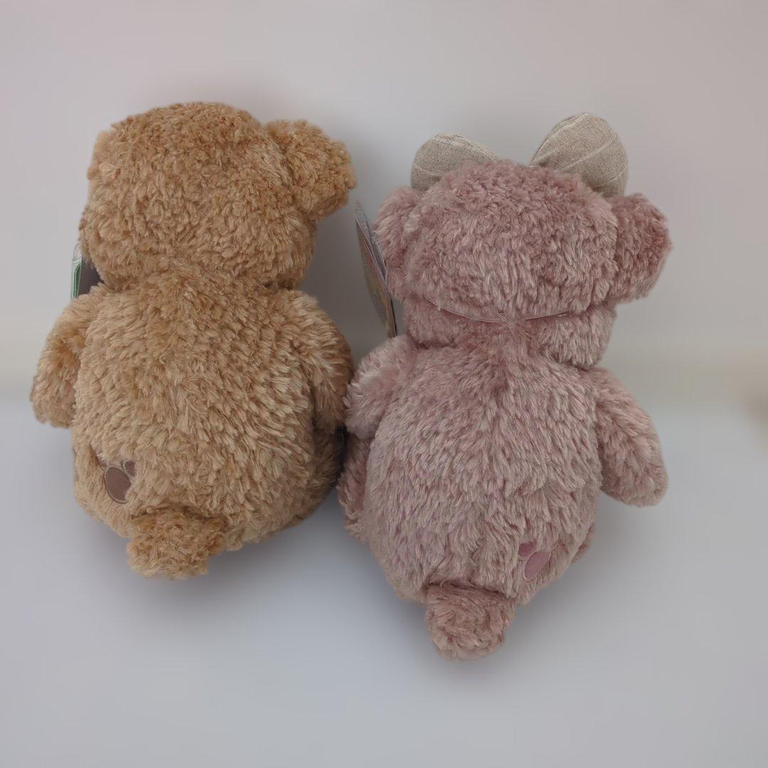 新品タグ付き　ダッフィーとシェリーメイののぬいぐるみ2体セット　ディズニー