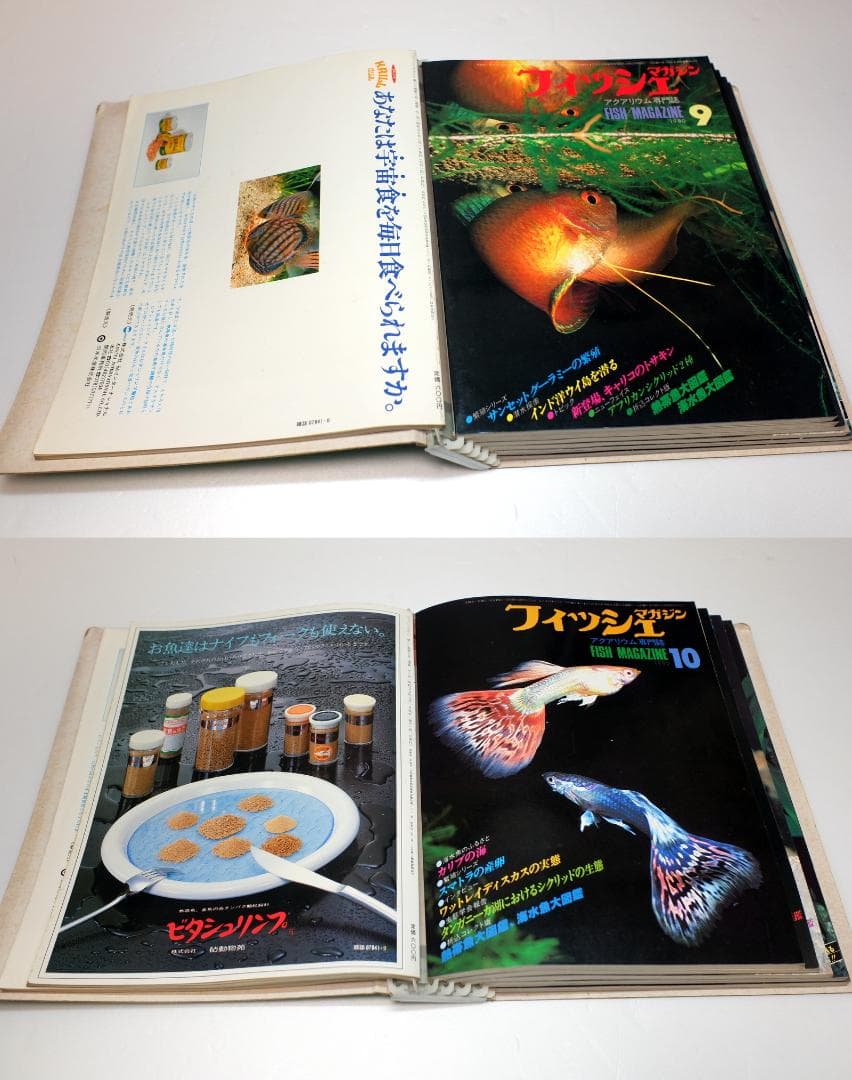 イ*3様 月刊フィッシュマガジン 1979年6月号～1981年2月号 昭和54～