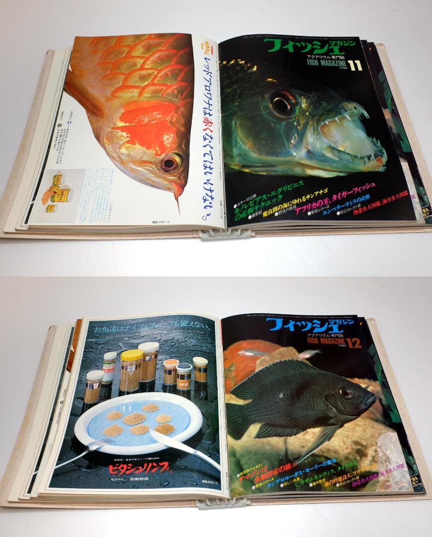 イ*3様 月刊フィッシュマガジン 1979年6月号～1981年2月号 昭和54～