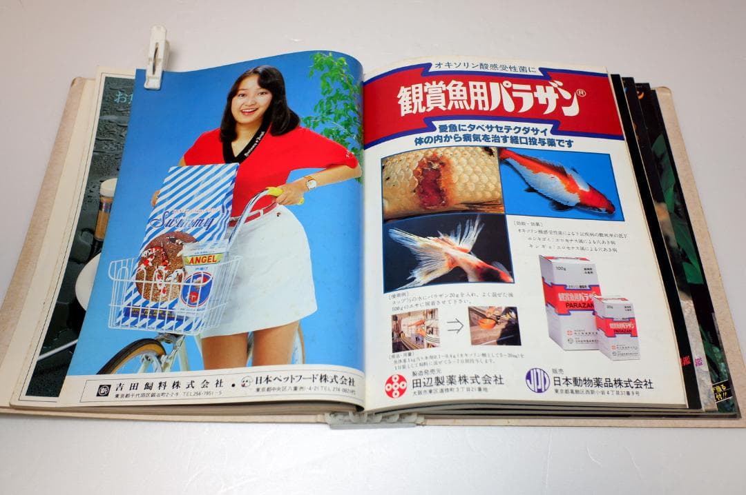 イ*3様 月刊フィッシュマガジン 1979年6月号～1981年2月号 昭和54～