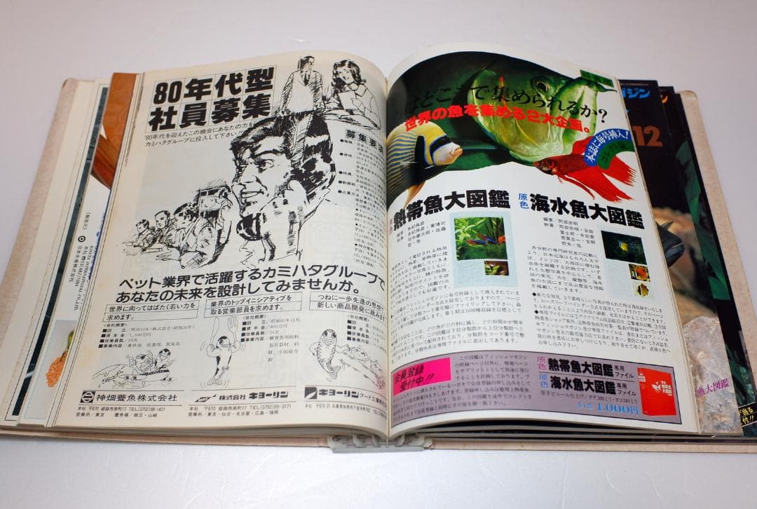 イ*3様 月刊フィッシュマガジン 1979年6月号～1981年2月号 昭和54～