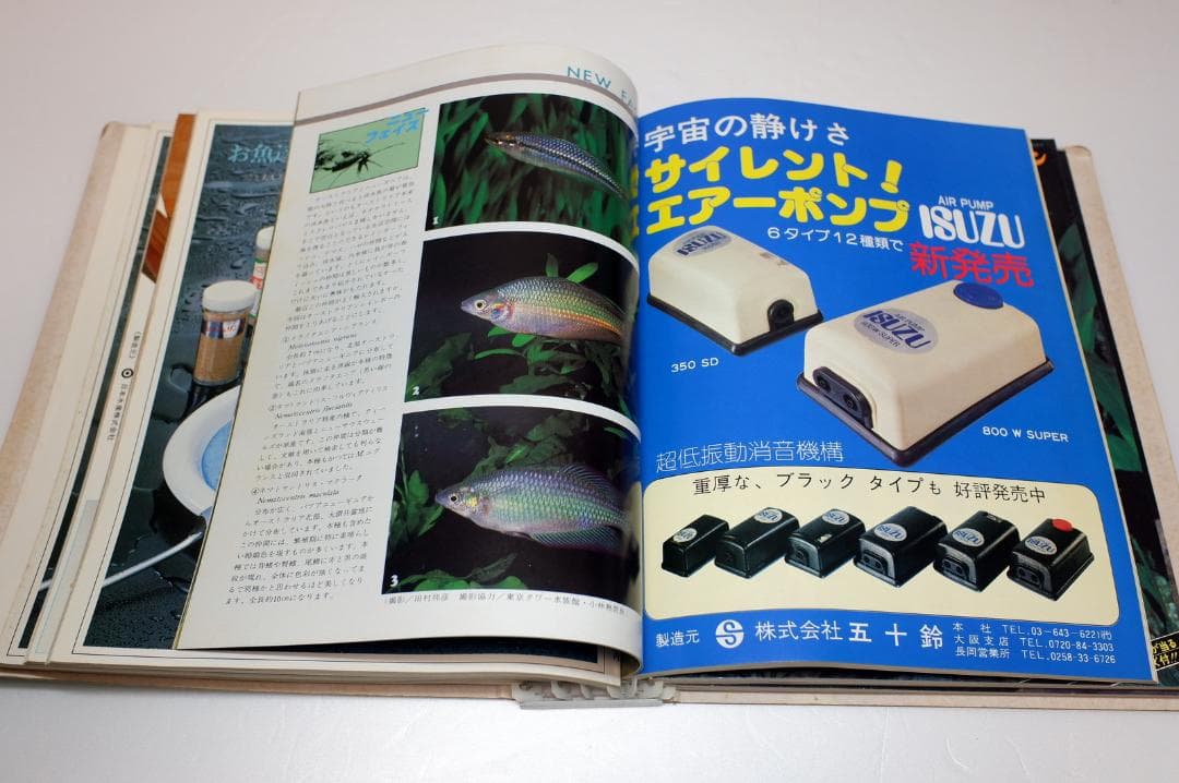 イ*3様 月刊フィッシュマガジン 1979年6月号～1981年2月号 昭和54～