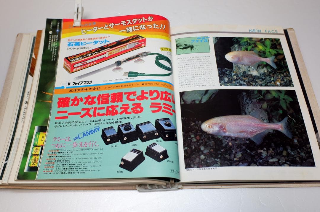 イ*3様 月刊フィッシュマガジン 1979年6月号～1981年2月号 昭和54～