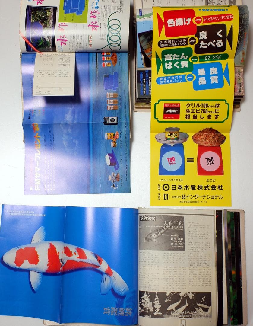 イ*3様 月刊フィッシュマガジン 1979年6月号～1981年2月号 昭和54～