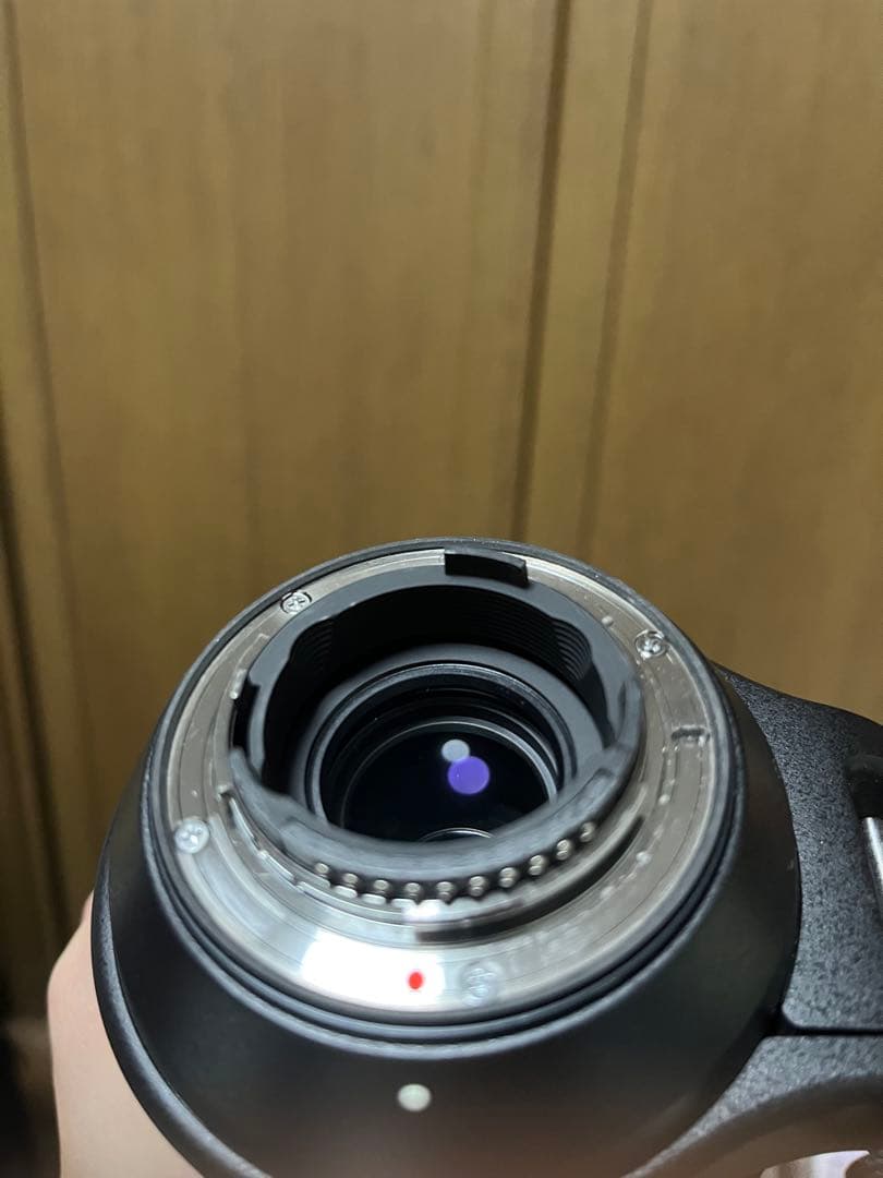 SIGMA 150-600mm F5-6.3 DG ニコンF Nikon