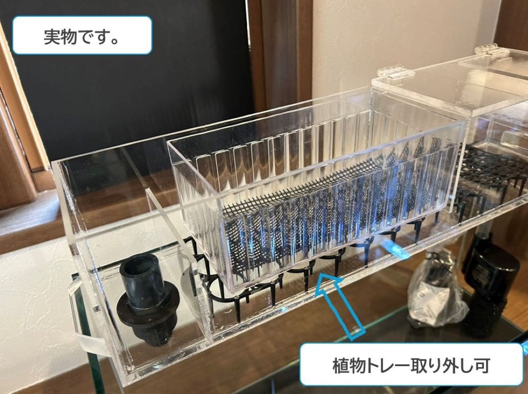 格安】上部濾過アクアリウム水槽 アクアポニックス（観葉植物）仕様