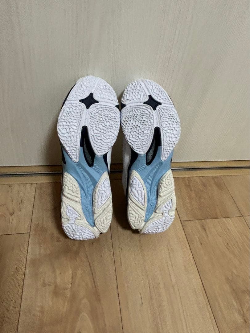 シューズ Mizuno 26.0cm 2E WAVE LIGHTNING Z8