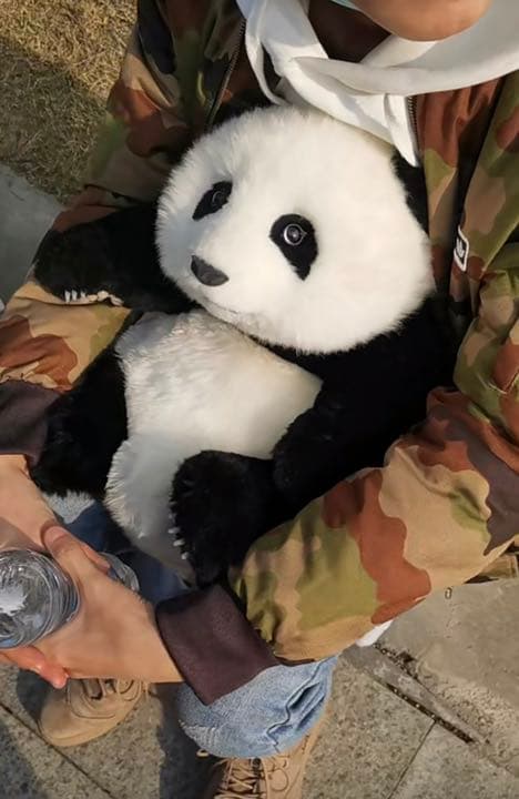 パンダぬいぐるみ 本物に近い 職人ハンディクラフト