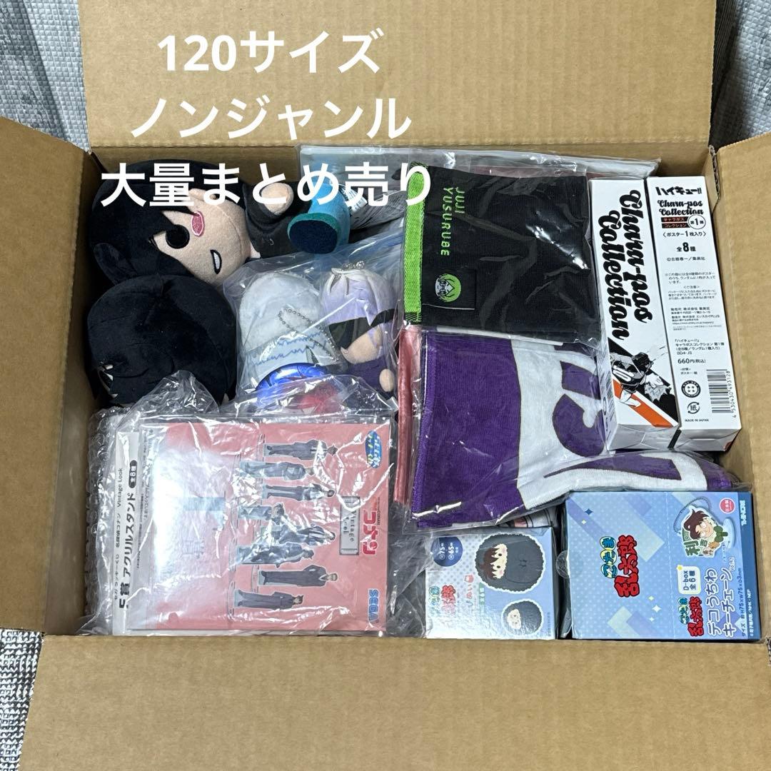 ノンジャンル グッズまとめ売り 120サイズ 大量