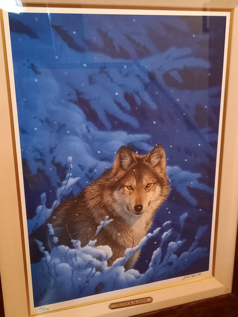 a*3様 ジョウナイトウ　オオカミ　ウルフ　　直筆サイン入り　狼　限定　95％オ