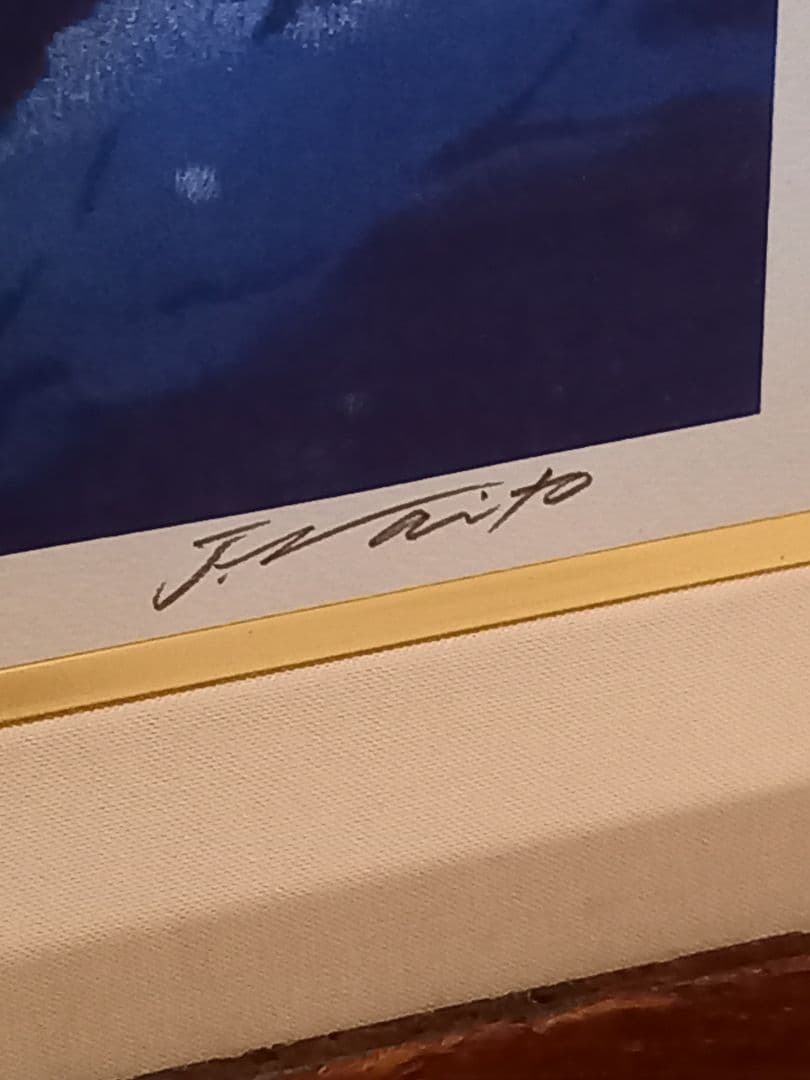 a*3様 ジョウナイトウ　オオカミ　ウルフ　　直筆サイン入り　狼　限定　95％オ