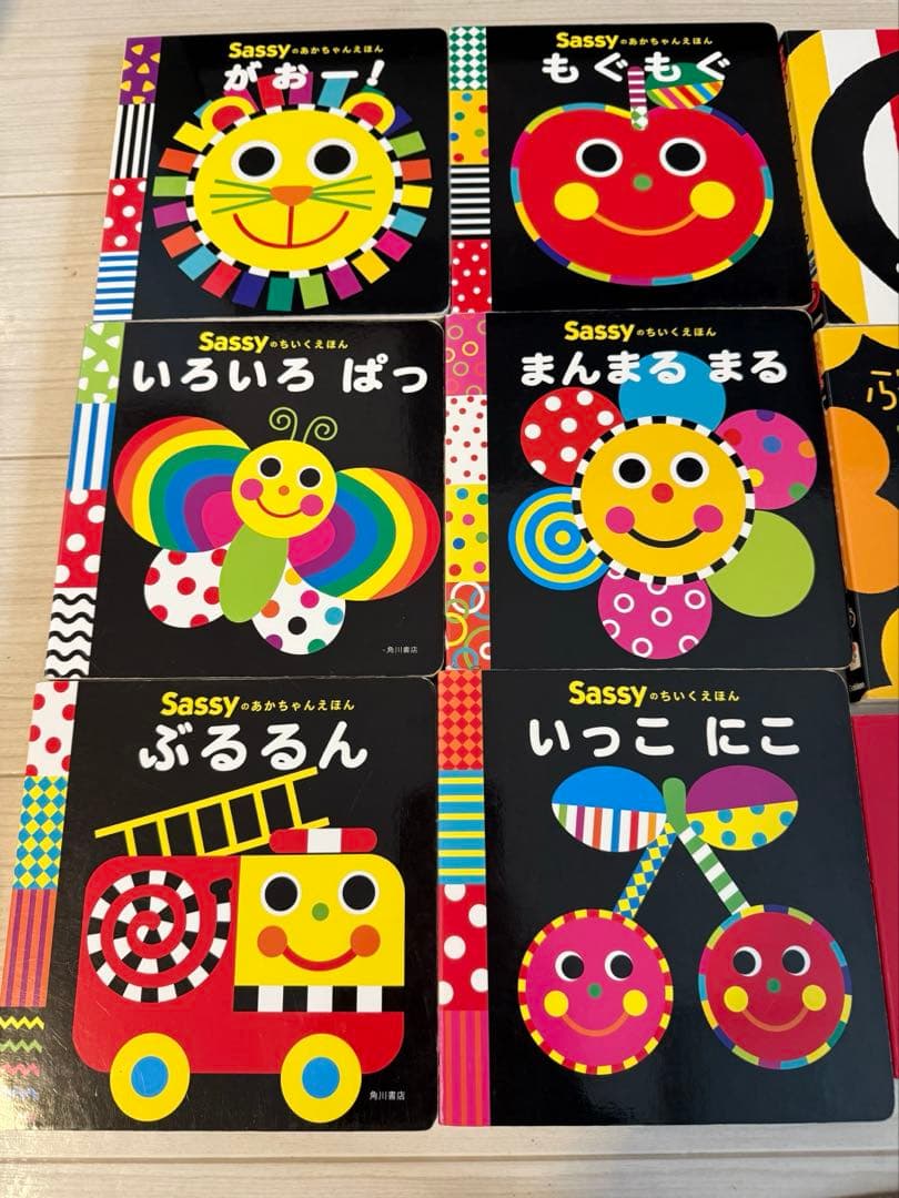 Sassy いっしょにあそぼ　知育絵本 あかちゃんえほん　　12冊セット