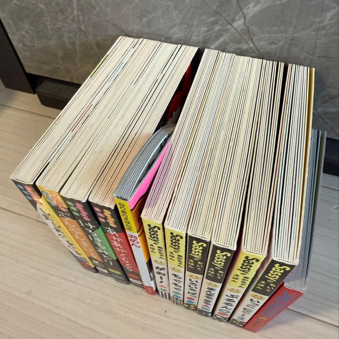 Sassy いっしょにあそぼ　知育絵本 あかちゃんえほん　　12冊セット