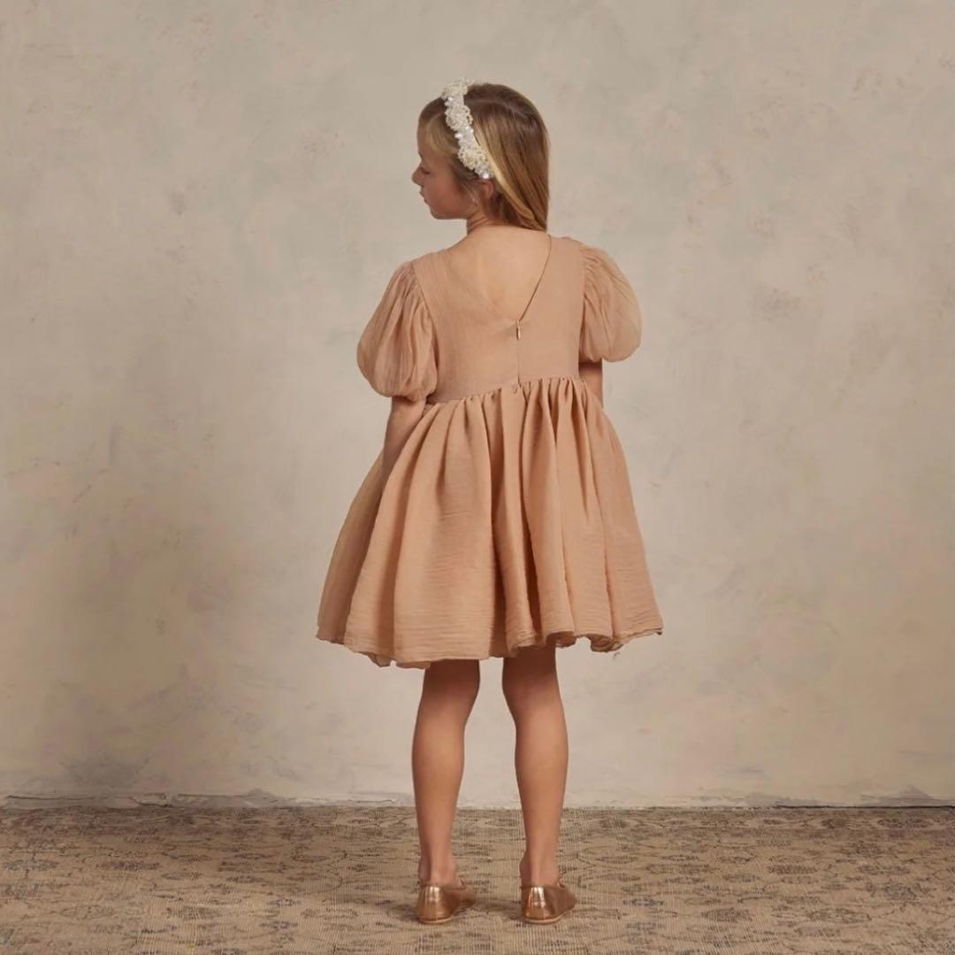 ノラリー　Noralee SOFIA DRESS BLUSH