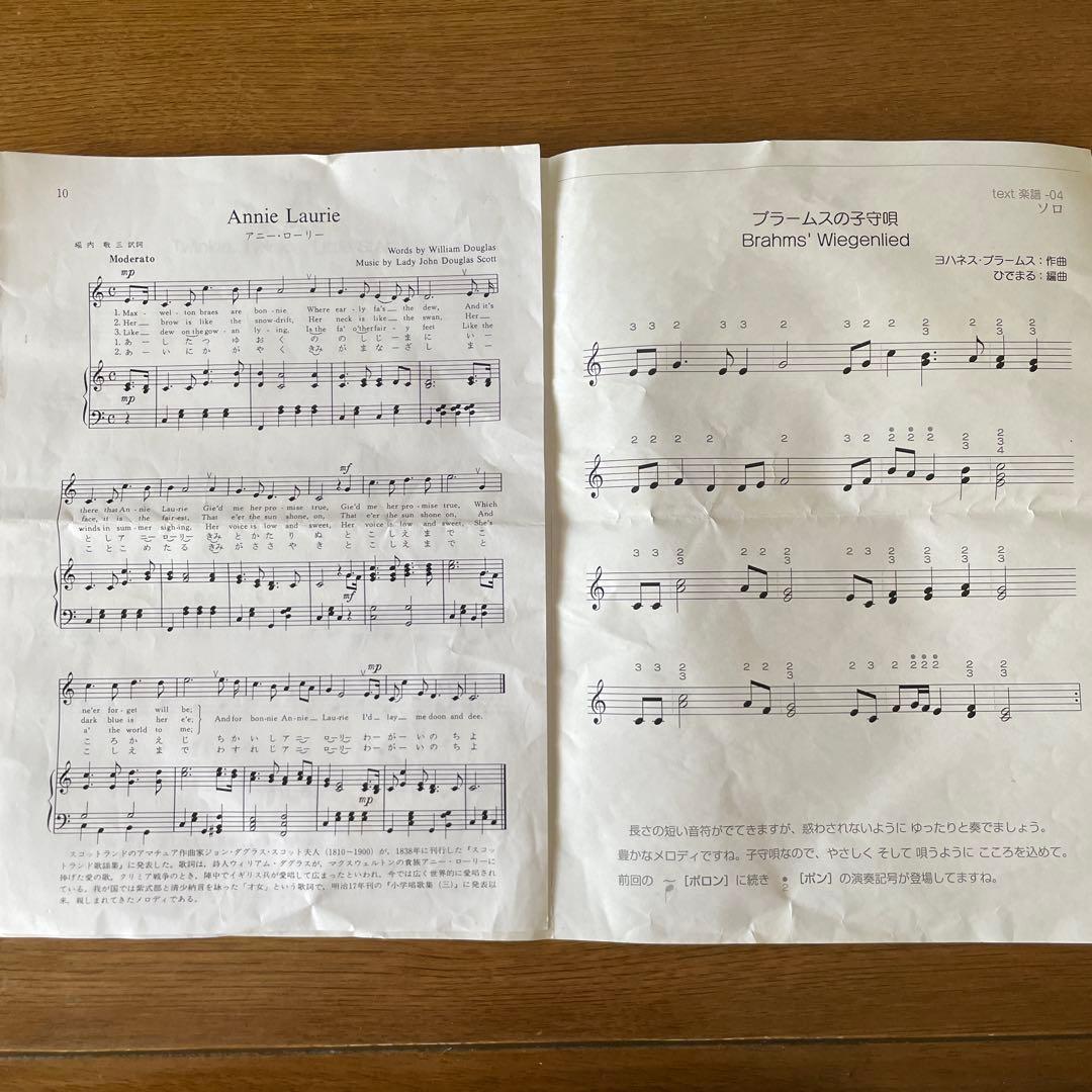 英円楽器 ライア 12弦