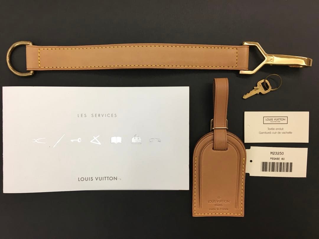 【パムッカレ】LOUIS VUITTON ペガス60スーツケース