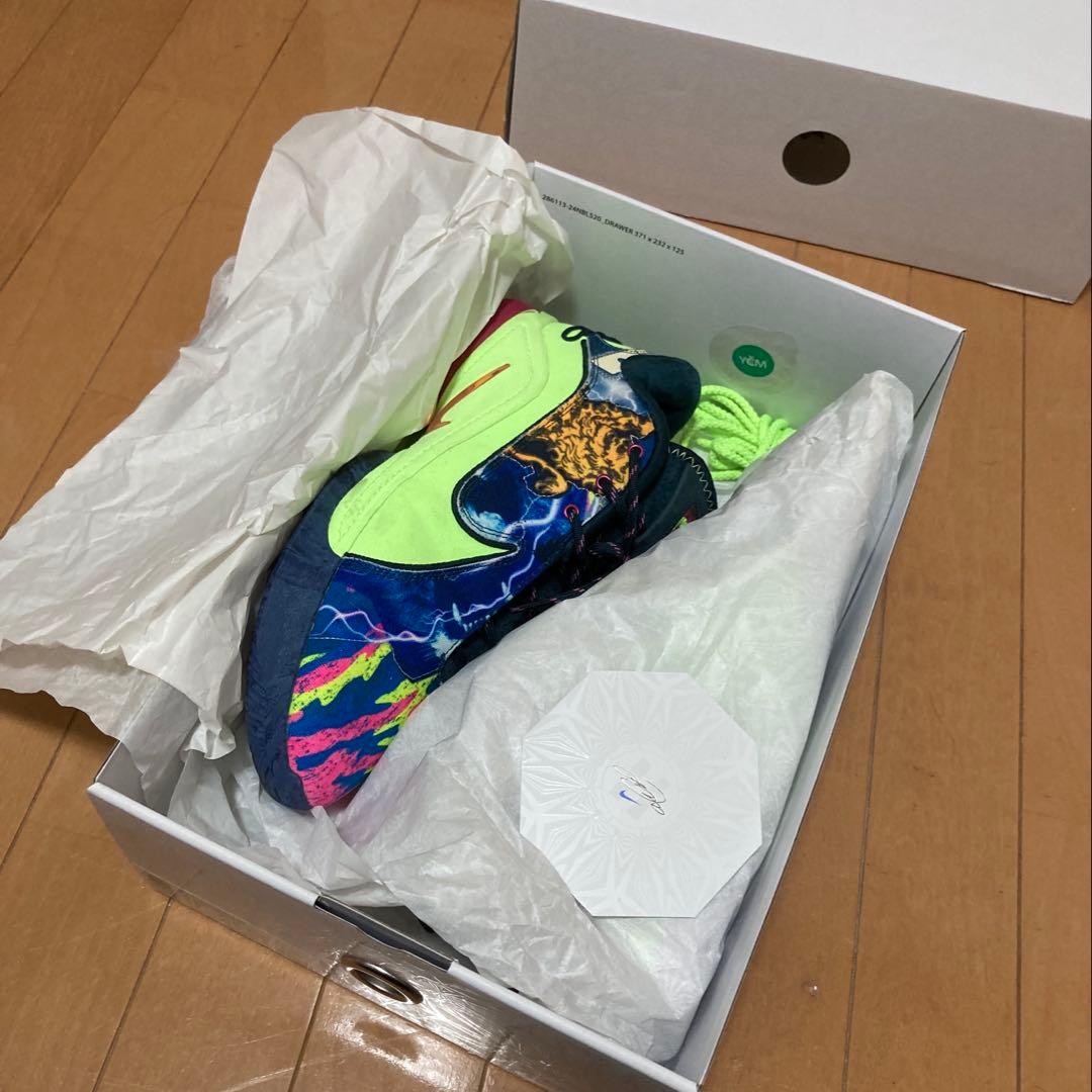 NIKE Lebron 22 グローバルラスト 27.5cm レブロン 22