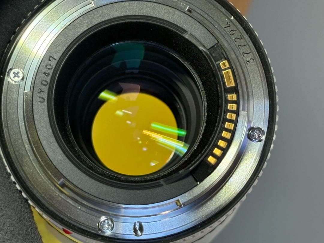 Canon EF70-200mm F4 L IS USM 手振れ、AF、動作良好