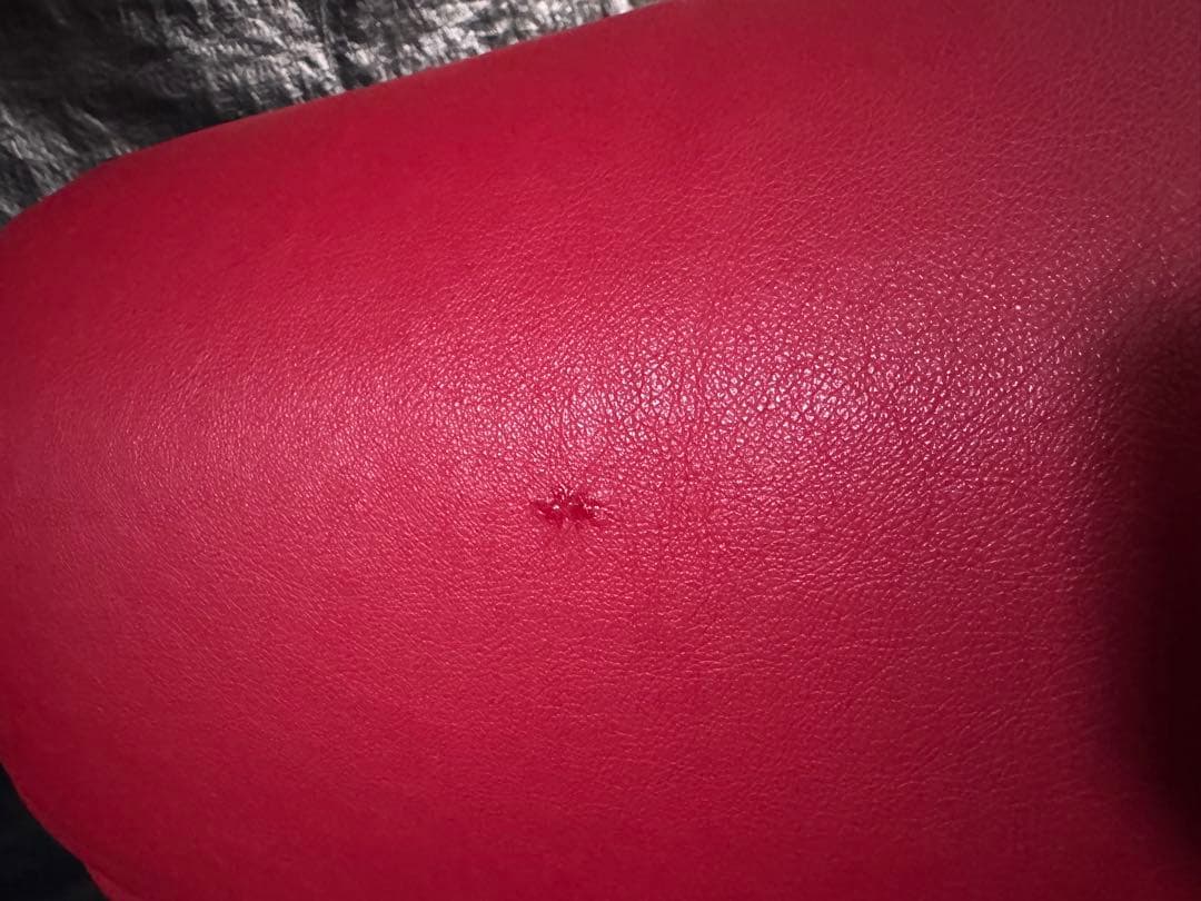 AGIO フジファニチャー　 レッドレザー 3人掛けソファ セパレート