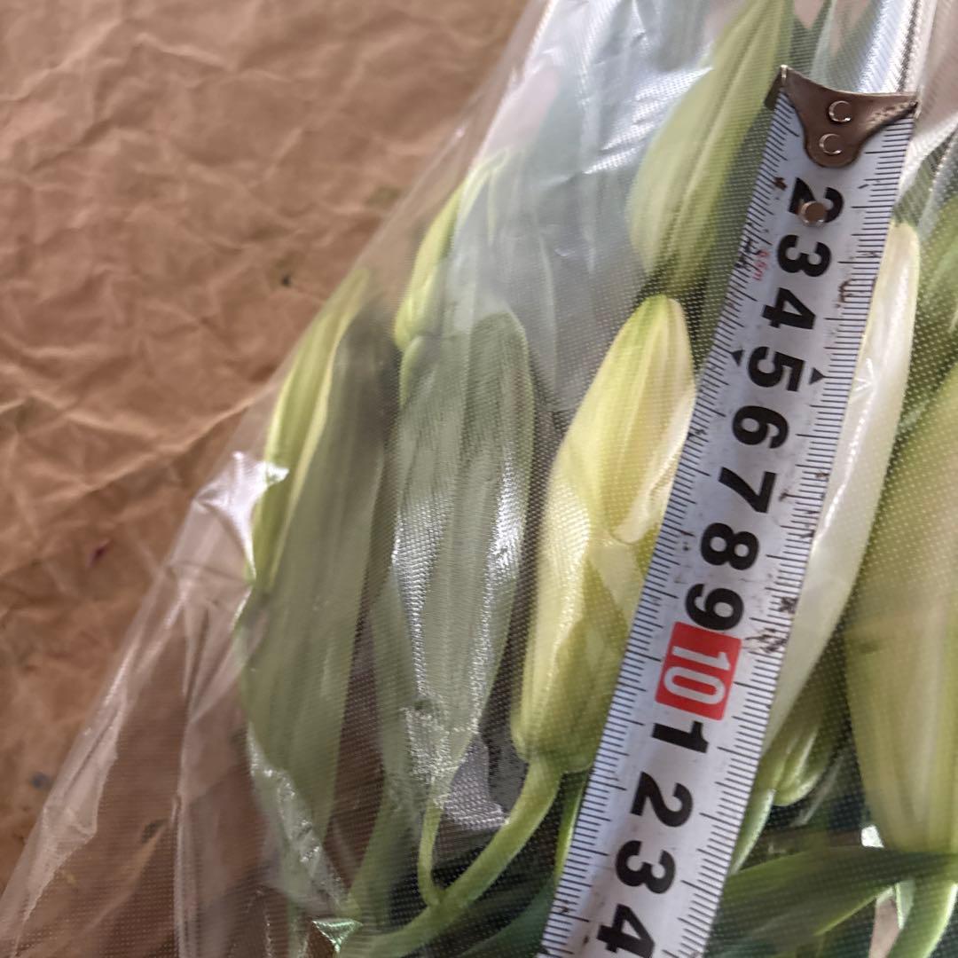 ミニーマウス5 同梱ピンク色百合10本 白百合3〜5輪咲き10本プレミアム