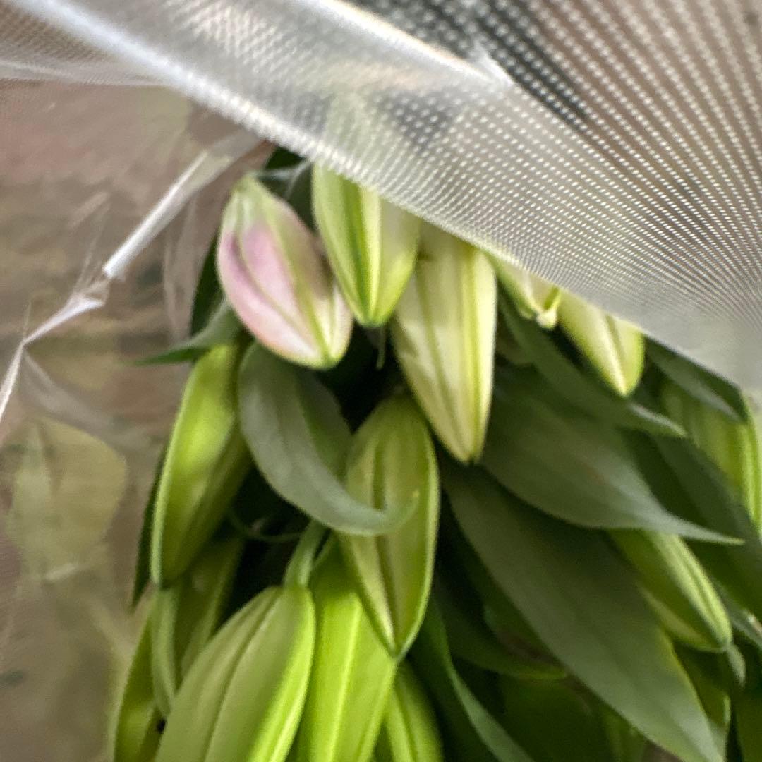 ミニーマウス5 同梱ピンク色百合10本 白百合3〜5輪咲き10本プレミアム