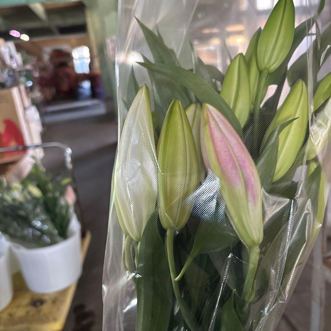 ミニーマウス5 同梱ピンク色百合10本 白百合3〜5輪咲き10本プレミアム