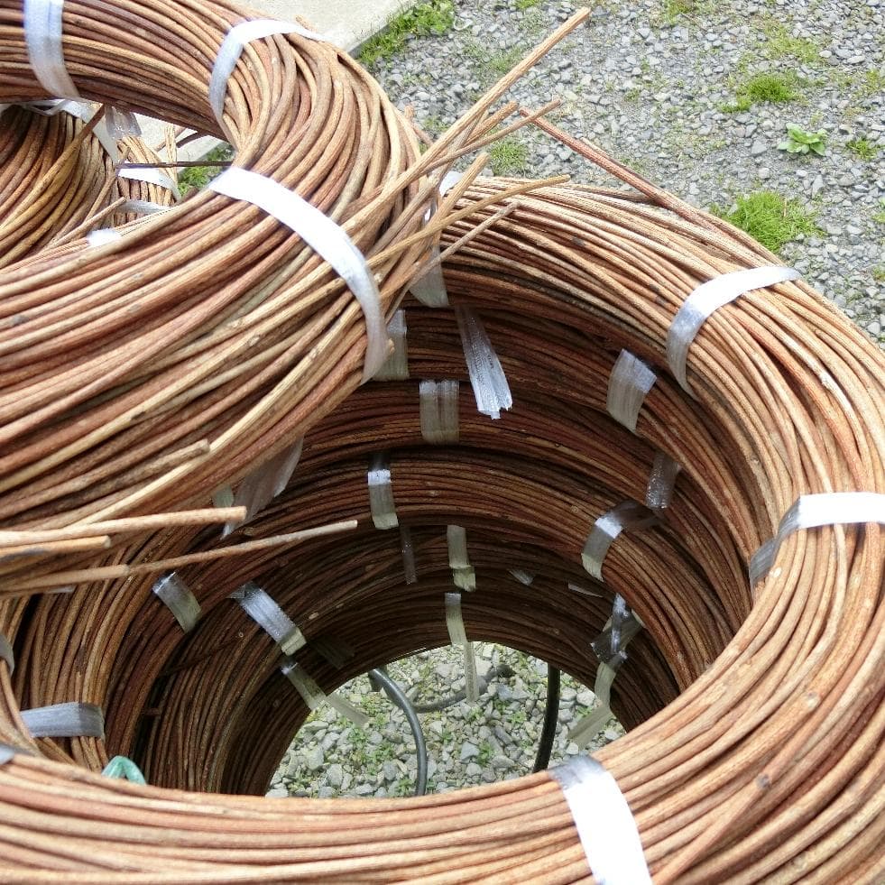 黄色いくまさん様専用 青森岩木山採取 あけび蔓 150cm～ 15kg 1 - メルカリ