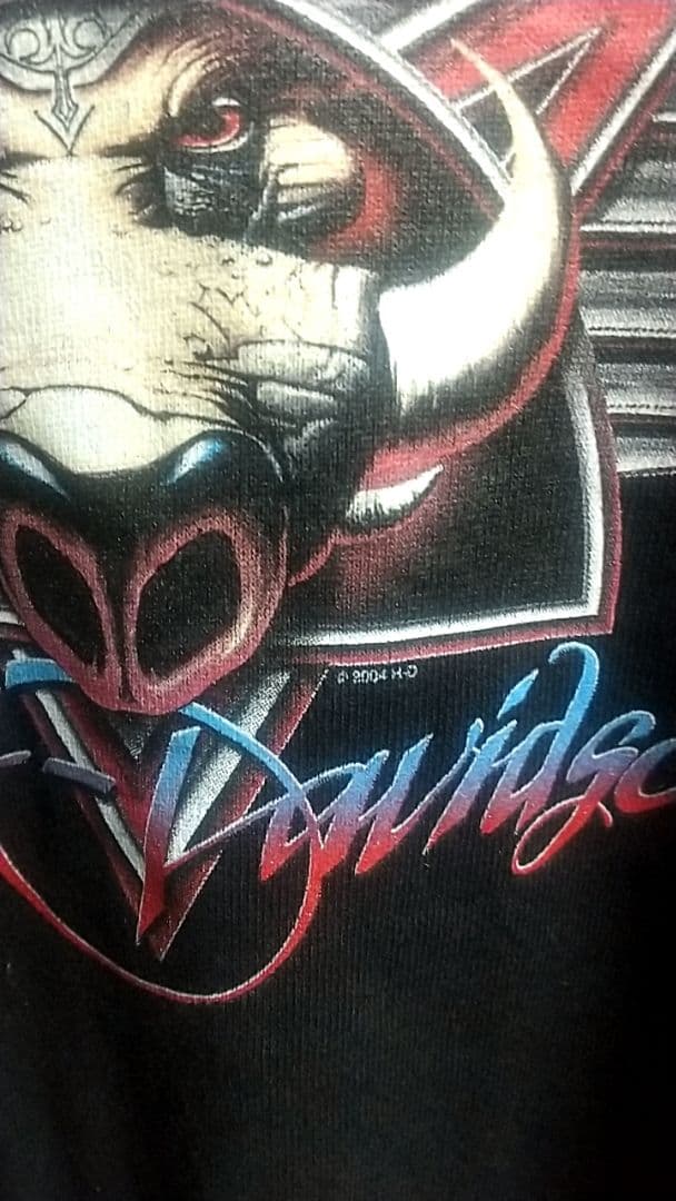 00s HARLEY DAVIDSON サンダー ライトニング ユーロ古着