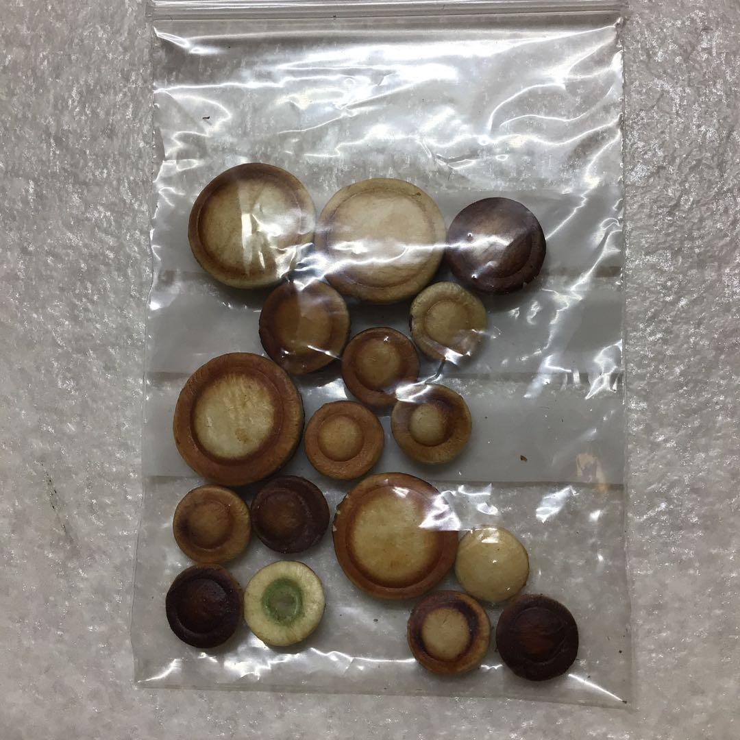 (23) BuffetCrampon ビュッフェ　クランポン　R-13SP