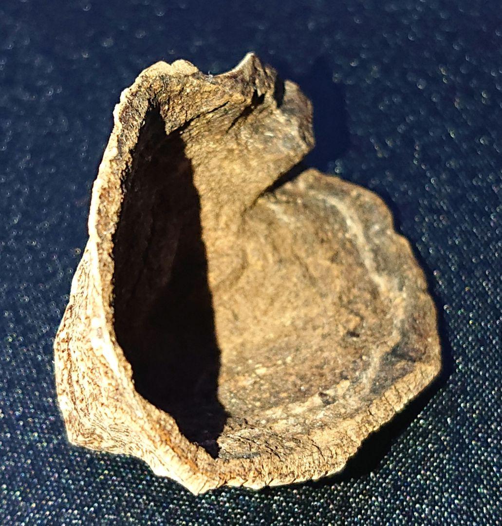 ベトナムフエ産 伽羅 沈水