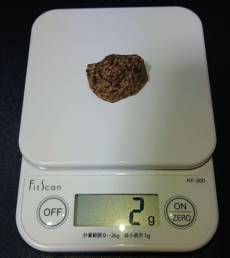 ベトナムフエ産 伽羅 沈水