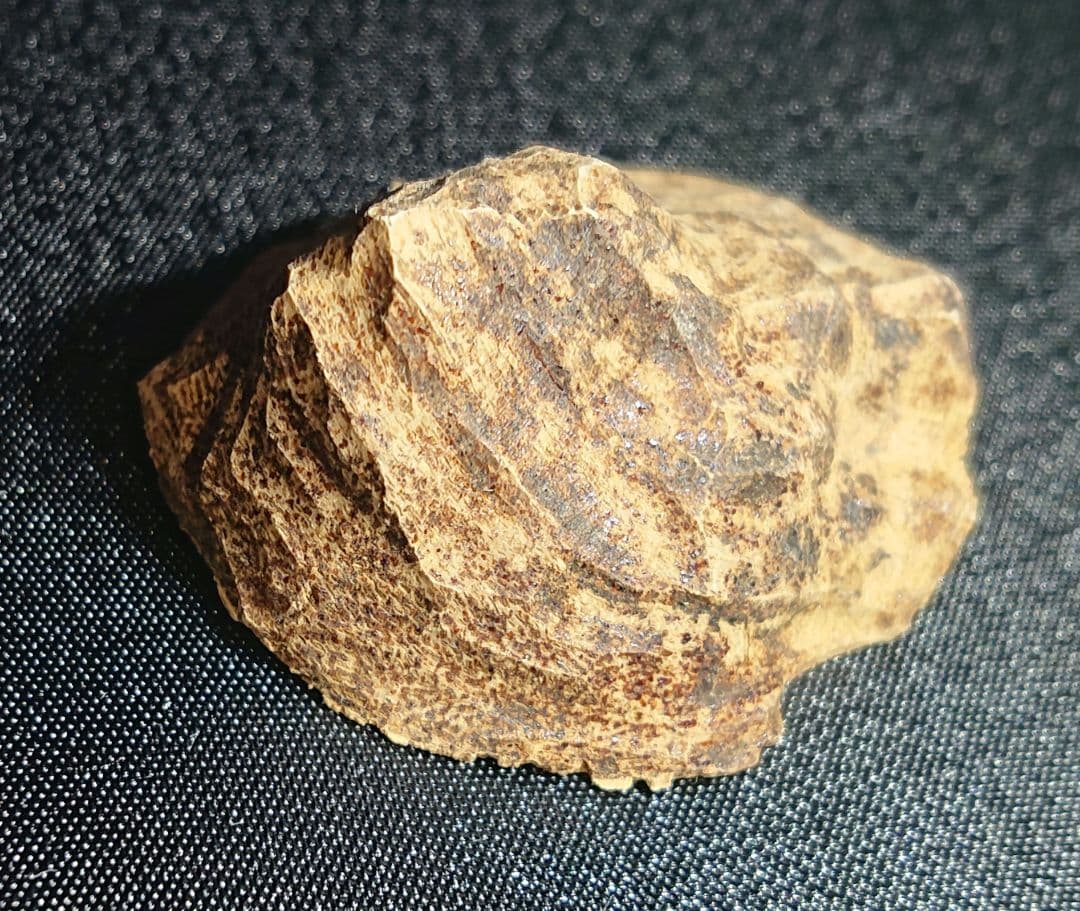 ベトナムフエ産 伽羅 沈水