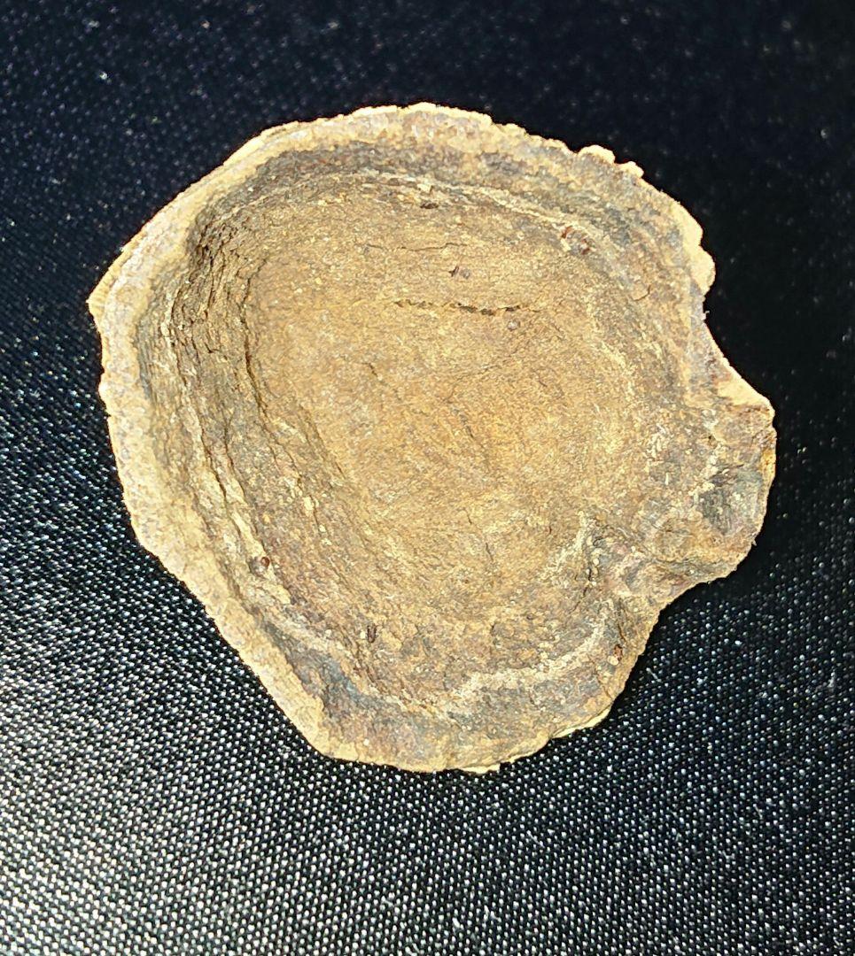 ベトナムフエ産 伽羅 沈水