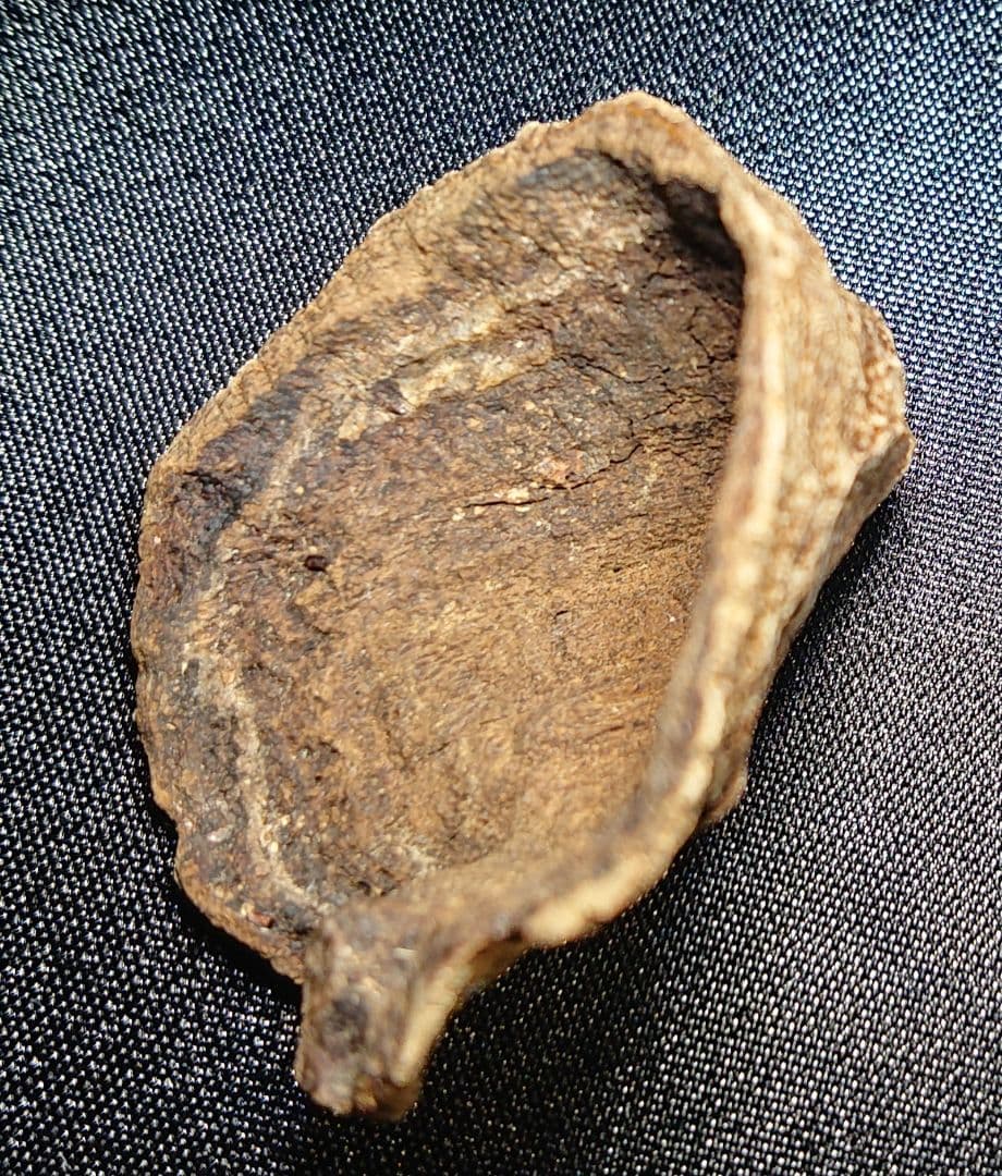 ベトナムフエ産 伽羅 沈水